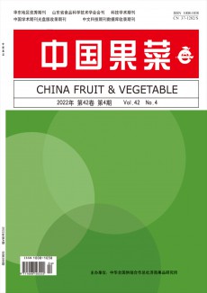 中国果菜期刊