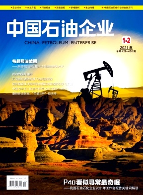 中国石油企业论文
