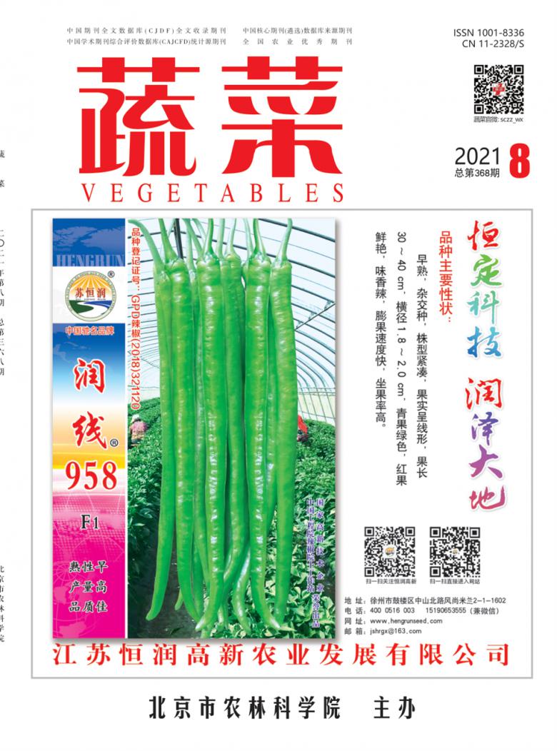 蔬菜期刊