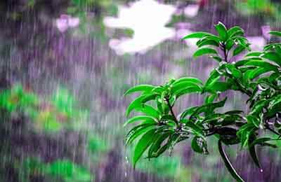 气象研究生论文