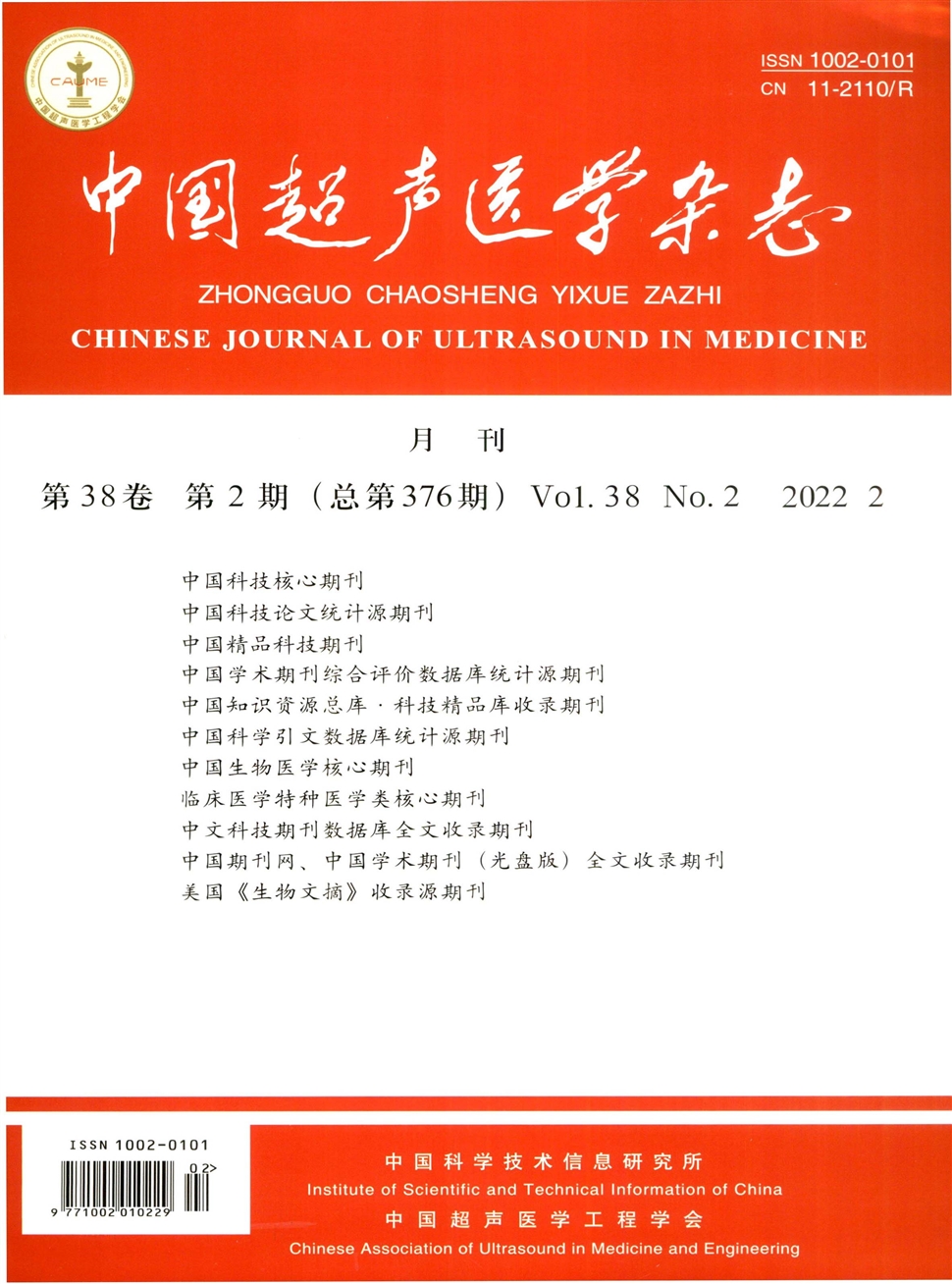 中国超声医学期刊