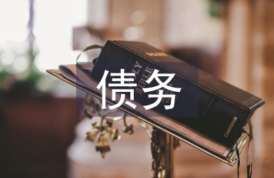 债务风险论文