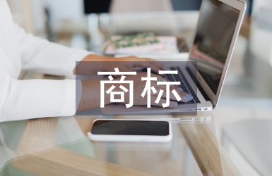 商标调查报告