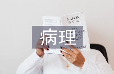 病理学的基本研究方法