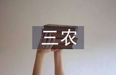 三农工作思路