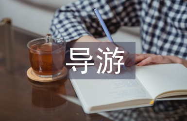 导游培训总结