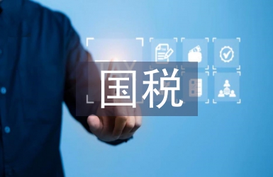 国税工作要点