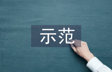 示范幼儿园汇报材料
