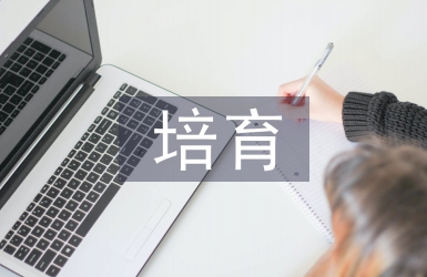团队精神培育