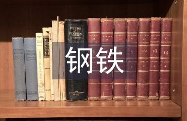 钢铁安全总结