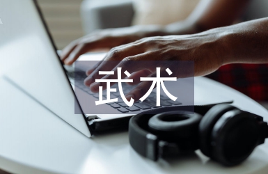 武术活动总结