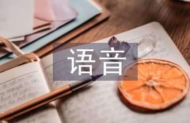 语音通知
