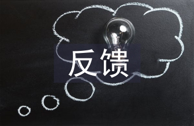 巡视反馈意见整改报告