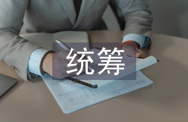 统筹管理论文