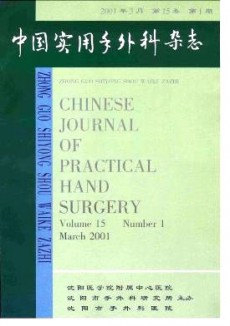 中国实用手外科杂志