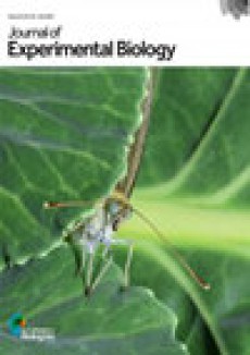 Journal Of Experimental Biology