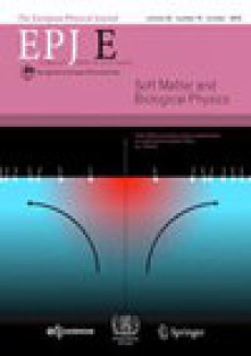European Physical Journal E