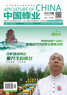 中国蜂业期刊