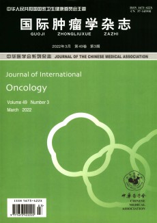 国际肿瘤学期刊