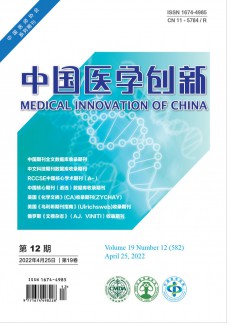 中国医学创新杂志