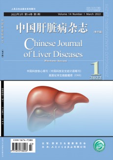 中国肝脏病期刊