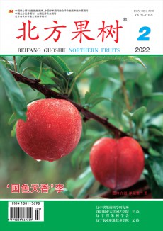 北方果树杂志