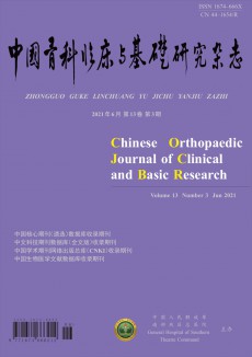 中国骨科临床与基础研究期刊