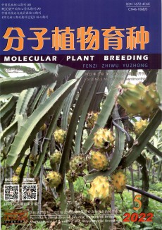 分子植物育种期刊