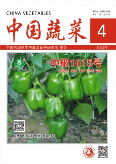 中国蔬菜期刊