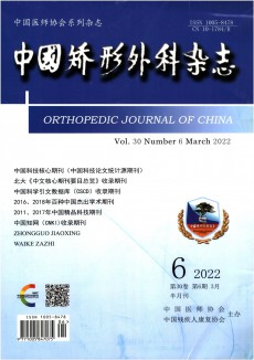 中国矫形外科期刊