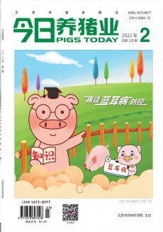 今日养猪业期刊