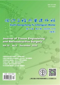 组织工程与重建外科期刊
