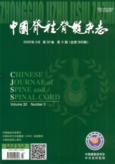 中国脊柱脊髓期刊