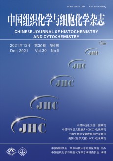 中国组织化学与细胞化学期刊