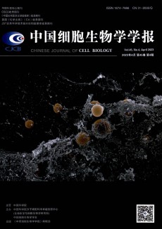 中国细胞生物学学报期刊