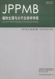 植物生理与分子生物学学报期刊