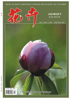 花卉期刊