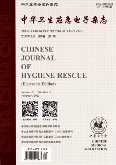 中华卫生应急电子期刊