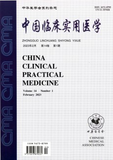 中国临床实用医学期刊