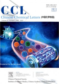 中国化学快报期刊