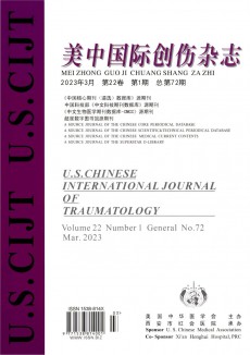 美中国际创伤期刊