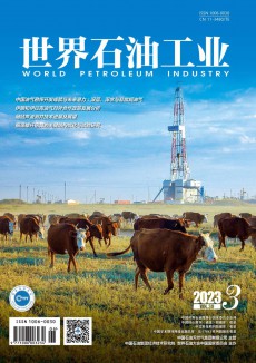 世界石油工业期刊