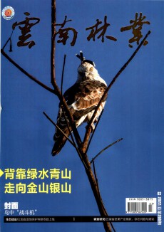 云南林业杂志