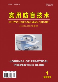 实用防盲技术期刊
