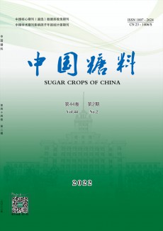 中国糖料