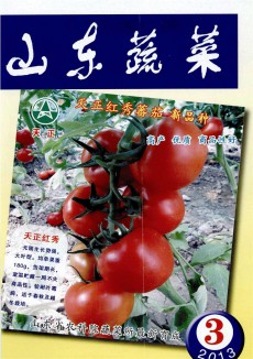 山东蔬菜杂志