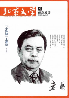 北京文学·精彩阅读期刊