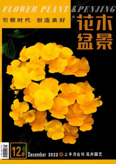 花木盆景·花卉园艺期刊