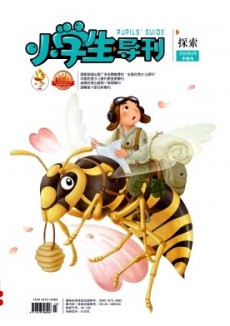 小学生导刊·中年级