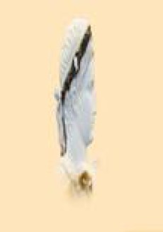 Gerion-revista De Historia Antigua